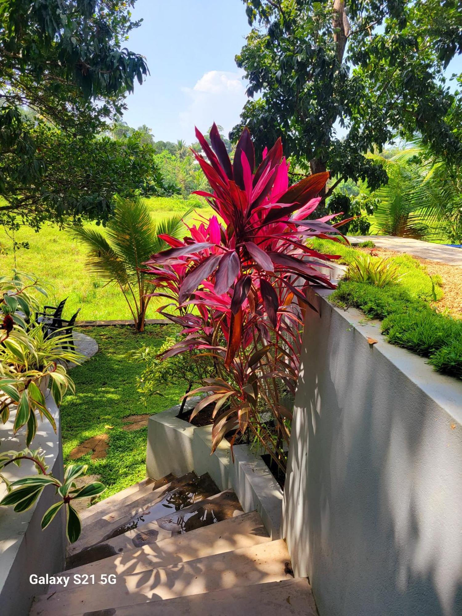 Barefoot Bungalow Hikka Hikkaduwa Ngoại thất bức ảnh
