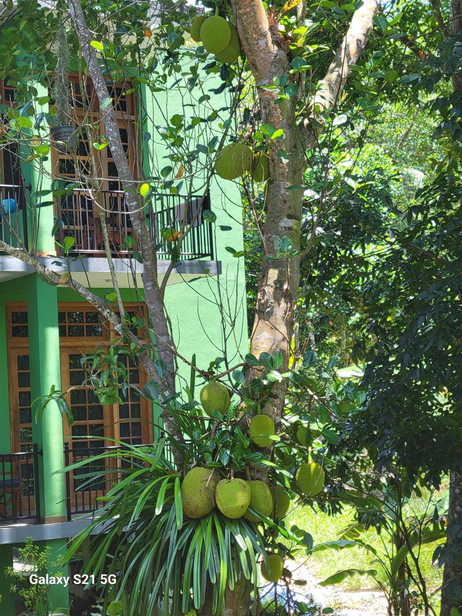 Barefoot Bungalow Hikka Hikkaduwa Ngoại thất bức ảnh