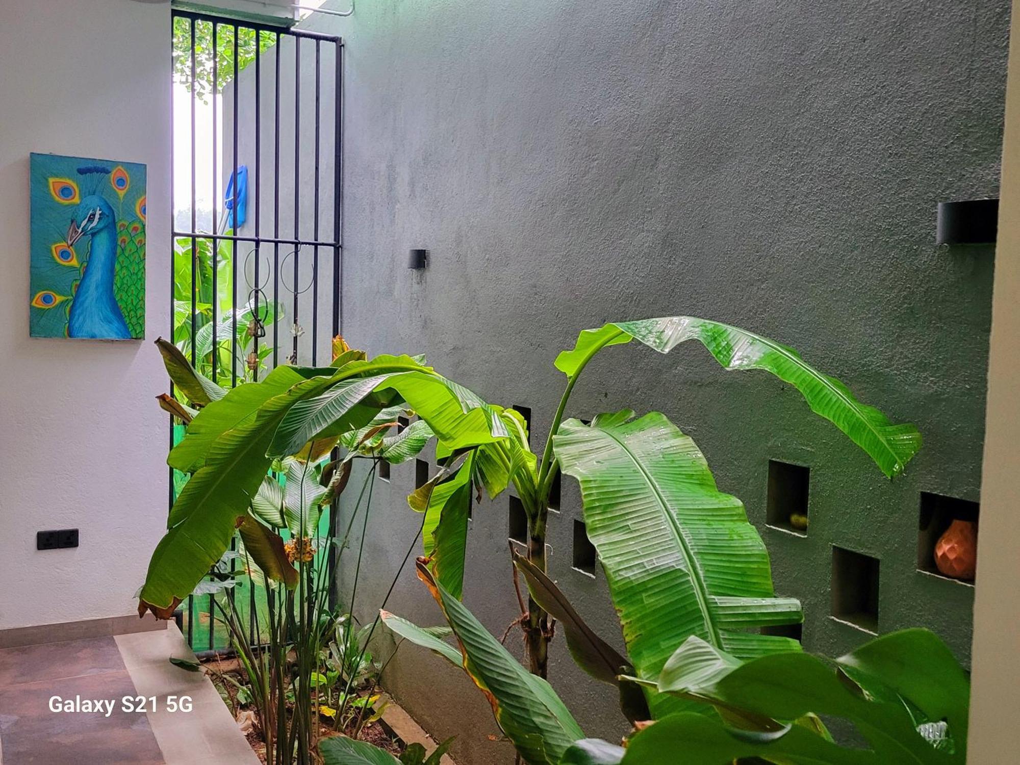 Barefoot Bungalow Hikka Hikkaduwa Ngoại thất bức ảnh