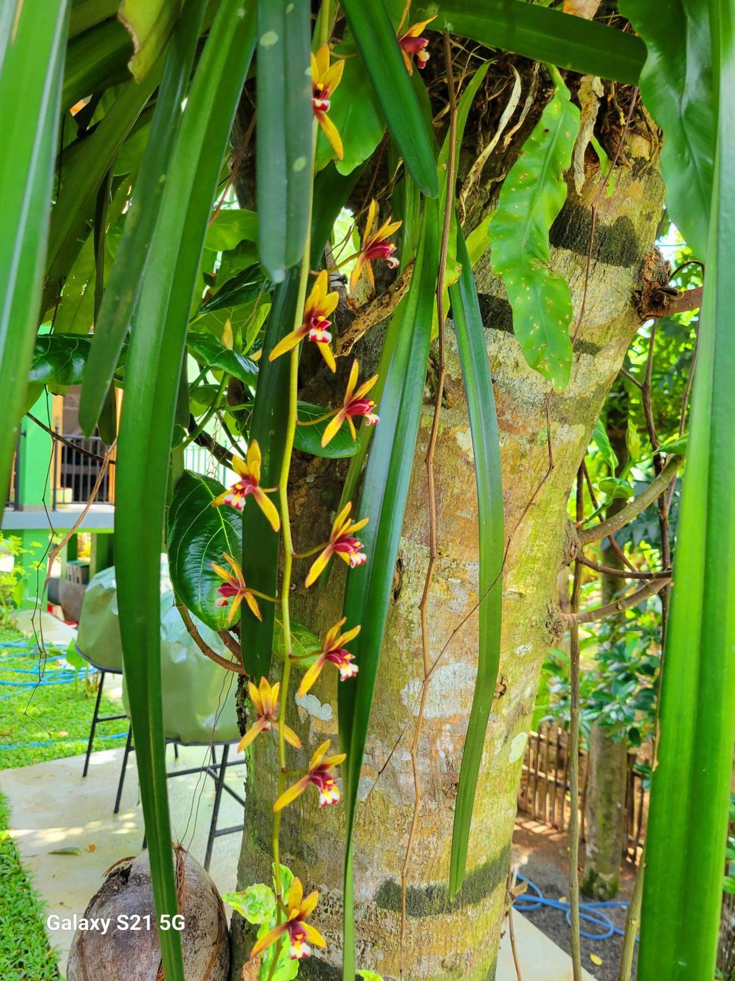 Barefoot Bungalow Hikka Hikkaduwa Ngoại thất bức ảnh