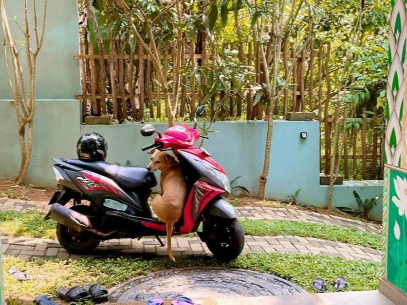 Barefoot Bungalow Hikka Hikkaduwa Ngoại thất bức ảnh